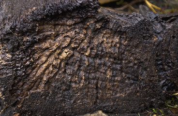texture