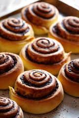 Obraz na płótnie Canvas Freshly baked buns rolls with cinnamon and cocoa filling. Close-up. Kanelbulle - swedish Sweet Homemade christmas dessert.