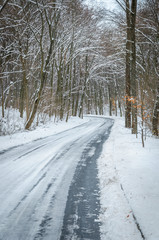Obraz premium Winter road