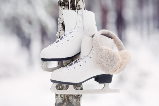 white skates hanging on a tree in a forest in winter
