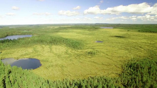 Natural bog with small lakes at the Leivonmaki national park in Finland, aerial shot.