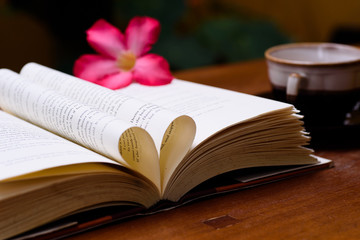 Open book  with heart shape page