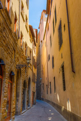 Fototapeta premium alley in the old town of Florence, Italy