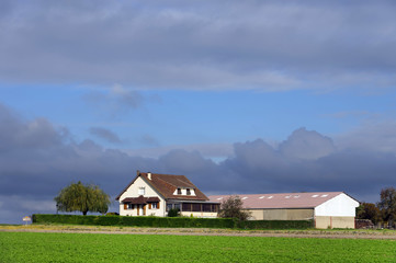 Large farm country house with spring green landscape