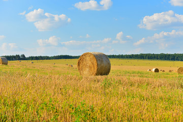 Fototapeta premium Haystack
