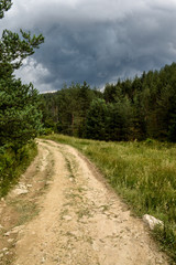 Fototapeta na wymiar Path near a forest with dark clouds just before summer storm