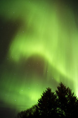 Northern Lights