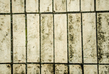 Stone pavement texture. Granite cobblestoned pavement background. Abstract background of old cobblestone pavement close-up.