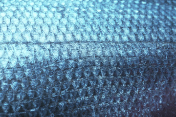 Fish scale, closeup © Africa Studio