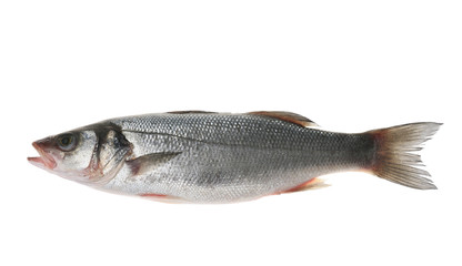 Raw fish, isolated on white
