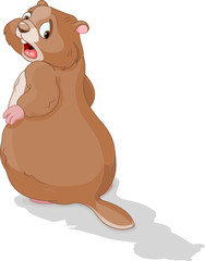 Groundhog looking at his shadow
