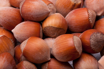 Macro shooting of nuts