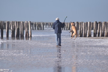 Spielender Hund am Strand. Mit Herrchen. Auf Walcheren