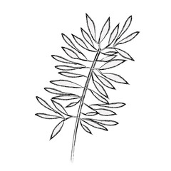 Leaves wreath icon. Plant floral garden decoration and ornament theme. Isolated design. Vector illustration