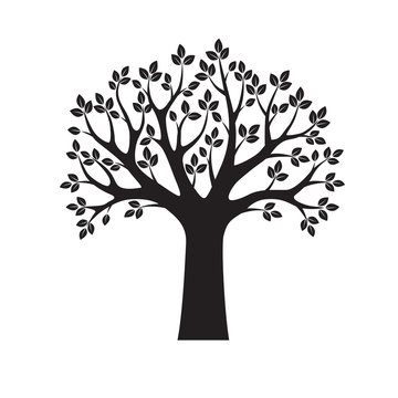Black Vector Tree and Leafs. Vector Illustration.