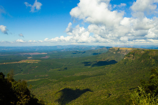 Blyde River Canyon panorama from "God's window" viewpoint.