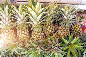 Fototapeta premium Many pineapple on shelf