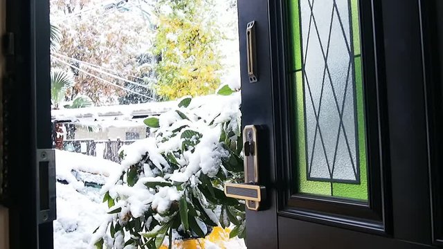 ドアを開けた玄関から吹雪を眺める