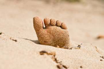 rigor mortis on the beach