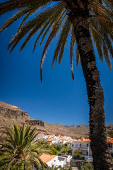 Fototapeta na wymiar Picturesque Fataga town in Gran Canaria