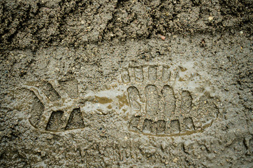 Footprint in the dirt. Brown road dirt with footprints. Background photo texture. Foot mark on the jungle trail. shoeprints in the mud. Dirt field close up background. needle branches