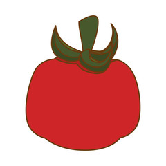 tomato vegetable icon over white background. colorful design. vector illustration