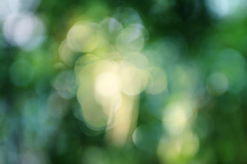 abstract summer background