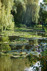 Monet's Garden Giverny 