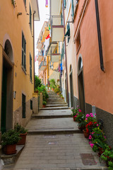 steep alley in Riomaggiore, Italy