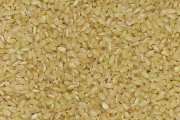 Japan Coarse rice background, Japan brown rice for eating healthy