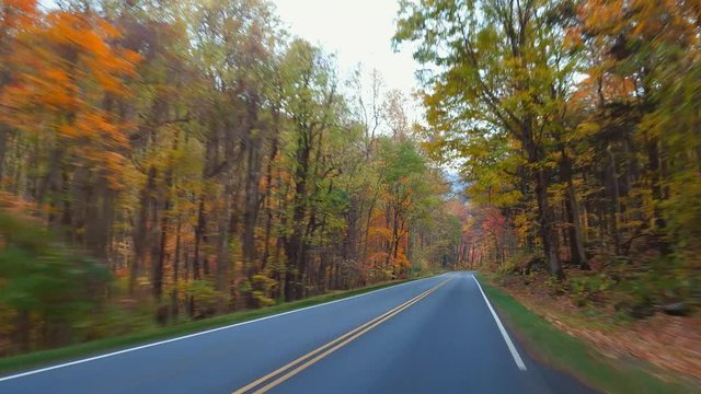 Stock video of the  Great Smokey Mountains National Park