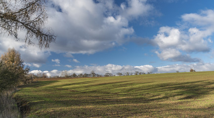 Green field with blue sky and white clouds