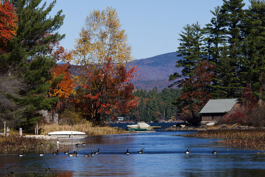 Squam Lake Fall