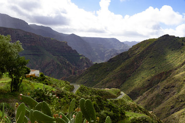A winding road in the mountains of Gran Canaria