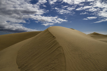 Fototapeta na wymiar Sand dune under a cloudy sky in Maspalomas, Gran Canaria