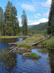 Landscapes Yellowstone National Park