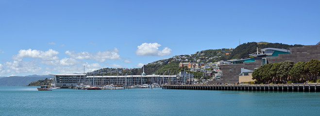 Panoramic view of Wellington Harbour, Oriental Bay and Clyde Qua