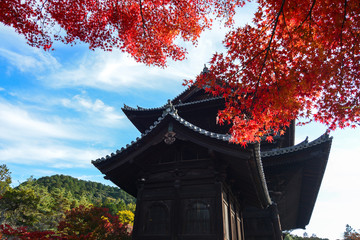 Red fall maple leaves glow with color in front of an ancient Japanese temple during autumn