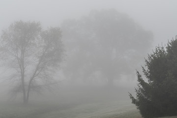 Obraz na płótnie Canvas Heavy Fog