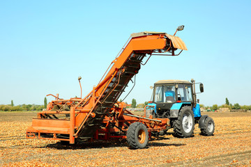 Onion harvesting with modern agricultural equipment in field