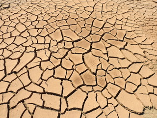 Cracked Dried land