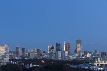 Fototapeta na wymiar 東京都市風景　東京タワー　と港区の高層ビル群　トワイライト　夜景