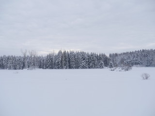 snow landscape winter