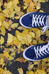 Background Pair of blue canvas shoes with fallen autumn leaves