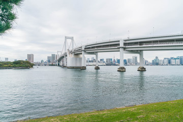 Tokyo skyline with Tokyo tower and rainbow bridge.