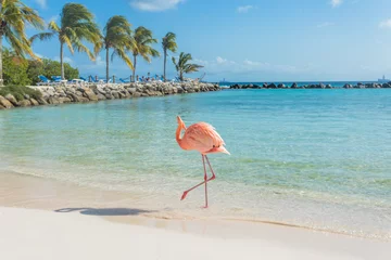 Fotobehang One flamingo on the beach © PhotoSerg