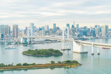 Obraz premium Tokyo skyline with Tokyo tower and rainbow bridge.