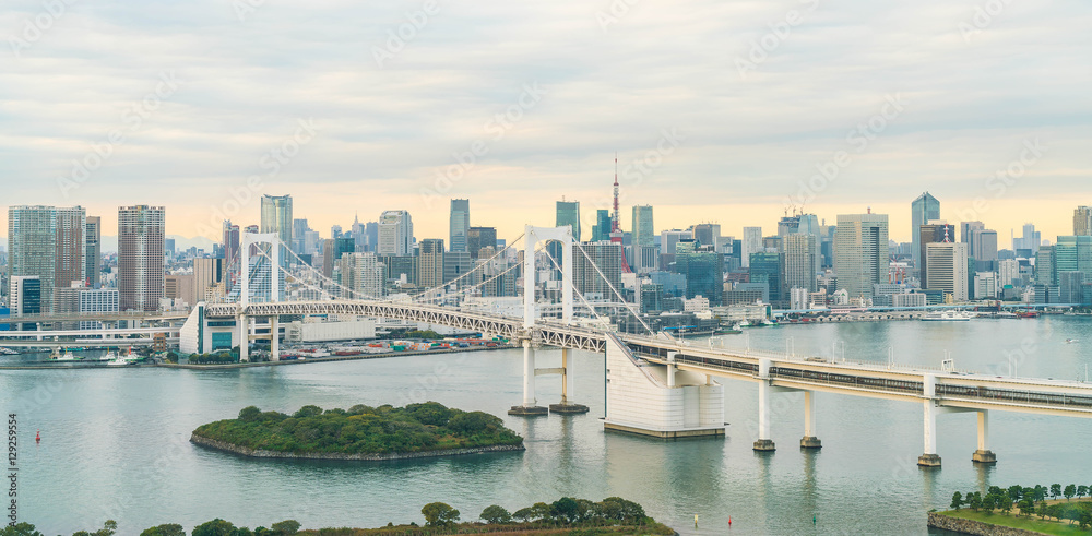 Wall mural Tokyo skyline with Tokyo tower and rainbow bridge.