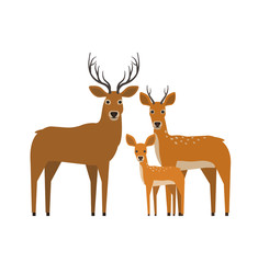Obraz premium rodzina jeleni w płaski na białym tle
