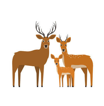 Deer Cartoon Images – Browse 165,678 Stock Photos, Vectors, and Video |  Adobe Stock